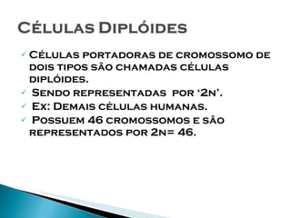 Células portadoras de cromossomo de dois tipos são chamadas células diplóides. Sendo representadas  por ‘2n’. Ex: Demais células humanas. Possuem 46 cromossomos e são representados por 2n= 46. 