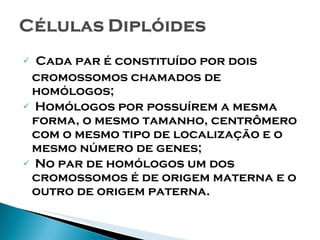 Cada par é constituído por dois cromossomos chamados de homólogos; Homólogos por possuírem a mesma forma, o mesmo tamanho, centrômero com o mesmo tipo de localização e o mesmo número de genes; No par de homólogos um dos cromossomos é de origem materna e o outro de origem paterna. 
