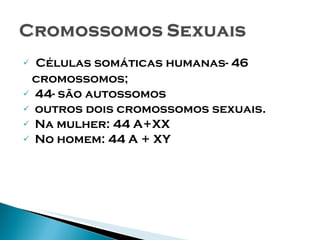 Células somáticas humanas- 46 cromossomos; 44- são autossomos outros dois cromossomos sexuais. Na mulher: 44 A+XX No homem: 44 A + XY 