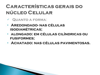 Quanto a forma : Aredondado- nas células isodiamétricas; alongado: em células cilíndricas ou fusiformes; Achatado: nas células pavimentosas. 