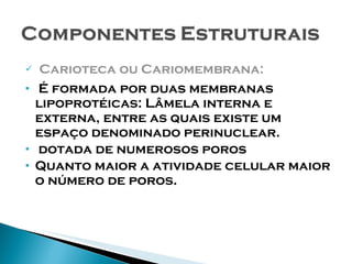 Carioteca ou Cariomembrana: É formada por duas membranas lipoprotéicas: Lâmela interna e externa, entre as quais existe um espaço denominado perinuclear. dotada de numerosos poros Quanto maior a atividade celular maior o número de poros. 