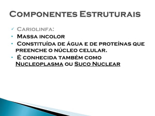 Cariolinfa: Massa incolor Constituída de água e de proteínas que preenche o núcleo celular. É conhecida também como  Nucleoplasma  ou  Suco Nuclear 