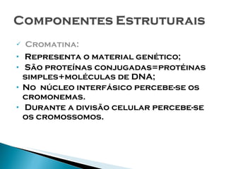 Cromatina: Representa o material genético; São proteínas conjugadas=protéinas simples+moléculas de DNA; No  núcleo interfásico percebe-se os cromonemas. Durante a divisão celular percebe-se os cromossomos. 