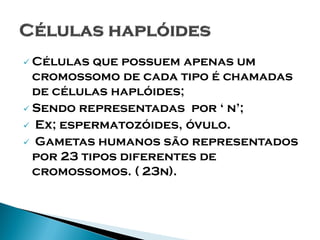  Células  que possuem apenas um
  cromossomo de cada tipo é chamadas
  de células haplóides;
 Sendo representadas por ‘ n’;
 Ex; espermatozóides, óvulo.
 Gametas humanos são representados
  por 23 tipos diferentes de
  cromossomos. ( 23n).
 