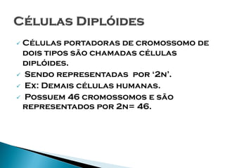 Células portadoras de cromossomo de
 dois tipos são chamadas células
 diplóides.
 Sendo representadas por ‘2n’.
 Ex: Demais células humanas.
 Possuem 46 cromossomos e são
 representados por 2n= 46.
 