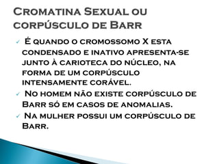 É quando o cromossomo X esta
 condensado e inativo apresenta-se
 junto à carioteca do núcleo, na
 forma de um corpúsculo
 intensamente corável.
 No homem não existe corpúsculo de
 Barr só em casos de anomalias.
 Na mulher possui um corpúsculo de
 Barr.
 