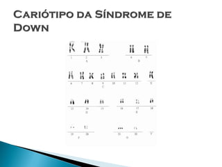 Slides Núcleo celular - Caroline Cerqueira Maciel