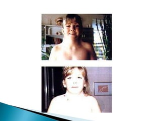 Slides Núcleo celular - Caroline Cerqueira Maciel