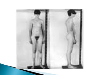 Slides Núcleo celular - Caroline Cerqueira Maciel