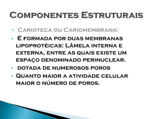     Carioteca ou Cariomembrana:
   É formada por duas membranas
    lipoprotéicas: Lâmela interna e
    externa, entre as quais existe um
    espaço denominado perinuclear.
   dotada de numerosos poros
   Quanto maior a atividade celular
    maior o número de poros.
 