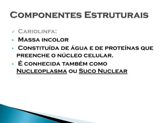    Cariolinfa:
   Massa incolor
   Constituída de água e de proteínas que
    preenche o núcleo celular.
   É conhecida também como
    Nucleoplasma ou Suco Nuclear
 