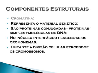     Cromatina:
   Representa o material genético;
   São proteínas conjugadas=protéinas
    simples+moléculas de DNA;
   No núcleo interfásico percebe-se os
    cromonemas.
   Durante a divisão celular percebe-se
    os cromossomos.
 