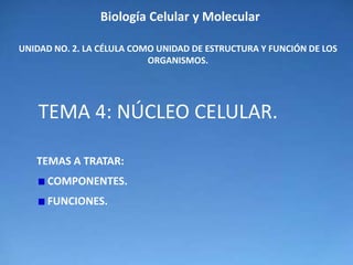 Biología Celular y Molecular

UNIDAD NO. 2. LA CÉLULA COMO UNIDAD DE ESTRUCTURA Y FUNCIÓN DE LOS
                           ORGANISMOS.




    TEMA 4: NÚCLEO CELULAR.

   TEMAS A TRATAR:
     COMPONENTES.
     FUNCIONES.
 