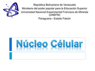 República Bolivariana de Venezuela
Ministerio del poder popular para la Educación Superior
Universidad Nacional Experimental Francisco de Miranda
(UNEFM)
Paraguana - Estado Falcón
 