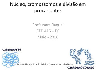 Núcleo, cromossomos e divisão em
procariontes
Professora Raquel
CED 416 – DF
Maio - 2016