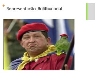 RepresentaçãoInstitucionalPolítica