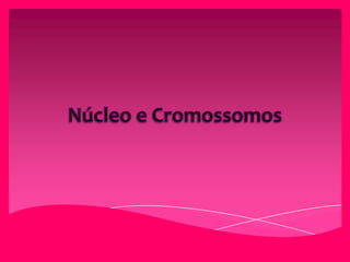 Núcleo e Cromossomos 