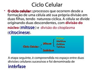 Ciclo Celular
• O ciclo celular : processos que ocorrem desde a
  formação de uma célula até sua própria divisão em
  duas filhas, tendo natureza cíclica. A célula se divide
  originando duas descendentes, com divisão do
  núcleo (mitose ) e divisão do citoplasma
  (citocinese).




  A etapa seguinte, é compreendida no espaço entre duas
  divisões celulares sucessivas e foi denominada de
  intérfase
 