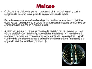Meiose
•   O citoplasma divide-se por um processo chamado clivagem, com o
    surgimento de uma nova parede celular dentro da célula.

•   Durante a meiose o material nuclear foi duplicado uma vez e dividido
    duas vezes, pelo que cada célula filha apresenta metade do número de
    cromossomas da célula diplóide inicial.

•   A meiose (sigla = R!) é um processo de divisão celular pelo qual uma
    célula diplóide (2N) origina quatro células haplóides (N), reduzindo à
    metade o número de cromossomos constante de uma espécie. Sendo
    subdividido em duas etapas: a primeira divisão meiótica (meiose I) e a
    segunda divisão meiótica (meiose II).
 