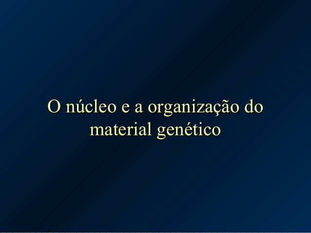 OO nnúúcclleeoo ee aa oorrggaanniizzaaççããoo ddoo 
mmaatteerriiaall ggeennééttiiccoo 
 