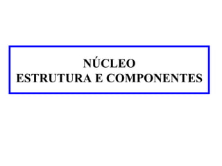 NÚCLEO
ESTRUTURA E COMPONENTES

 