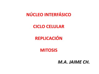 NÚCLEO INTERFÁSICO
CICLO CELULAR
REPLICACIÓN
MITOSIS
M.A. JAIME CH.
 