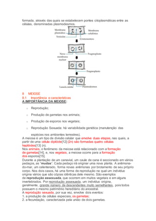 formada, através das quais se estabelecem pontes citoplasmáticas entre as
células, denominadas plasmodesmos.
8 MEIOSE
8.1 Importância e características
A IMPORTÂNCIA DA MEIOSE:
o Reprodução;
o Produção de gametas nos animais;
o Produção de esporos nos vegetais;
o Reprodução Sexuada: há variabilidade genética (manutenção das
espécies nos ambientes terrestres).
A meiose é um tipo de divisão celular que envolve duas etapas, nas quais, a
partir de uma célula diplóide[12] (2n) são formadas quatro células
haplóides[13] (n).
Nos animais, o fenômeno da meiose está relacionado com a formação
de gametas[14], e, nos vegetais, a meiose ocorre para a formação
dos esporos[15].
Durante a plantação de um canavial, um caule de cana é seccionado em vários
pedaços, as “mudas“. Cada pedaço irá originar uma nova planta. A anêmona-
do-mar, um celenterado, forma novas anêmonas por brotamento de seu próprio
corpo. Nos dois casos, há uma forma de reprodução na qual um indivíduo
origina vários que são cópias idênticas dele mesmo. São exemplos
de reprodução assexuada, que ocorrem em muitos vegetais e em alguns
invertebrados. Por reprodução assexuada, um indivíduo origina,
geralmente, grande número de descendentes muito semelhantes, pois todos
possuem o mesmo patrimônio hereditário do ancestral.
A reprodução sexuada, por sua vez, envolve dois eventos:
1. a produção de células especiais, os gametas;
2. a fecundação, caracterizada pela união de dois gametas.
 