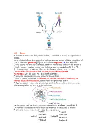 8.2 Fases
A divisão de meiose é do tipo reducional, ocorrendo a redução da ploidia da
célula.
Uma célula diplóide (2n), ao sofrer meiose, produz quatro células haplóides (n),
que podem ser gametas [18] nos animais ou esporos[19] nos vegetais.
Como ocorre na divisão da mitose, também na meiose, antes de se iniciar a
divisão celular, a célula passa pela intérfase com os períodos G1, S e G2.
A primeira etapa da meiose difere muito de uma mitose, pois ocorrem
osfenômenos de pareamento e separação de cromossomos
homólogos[20], os quais não ocorrem na mitose.
A segunda etapa da meiose é semelhante à mitose.
Como já vimos na mitose, a intérfase na meiose também é uma etapa de
intensa atividade metabólica, com síntese de proteínas e RNA.
A figura a seguir representa uma célula em intérfase onde os cromossomos
ainda não podem ser vistos individualizados.
A divisão de meiose é estudada em duas etapas: meiose I e meiose II.
Os nomes das fases da meiose são os mesmos usados para a mitose.
A primeira divisão meiótica (meiose I) compreende:
 