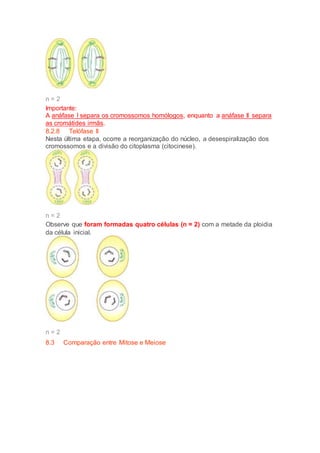 n = 2
Importante:
A anáfase I separa os cromossomos homólogos, enquanto a anáfase II separa
as cromátides irmãs.
8.2.8 Telófase II
Nesta última etapa, ocorre a reorganização do núcleo, a desespiralização dos
cromossomos e a divisão do citoplasma (citocinese).
n = 2
Observe que foram formadas quatro células (n = 2) com a metade da ploidia
da célula inicial.
n = 2
8.3 Comparação entre Mitose e Meiose
 