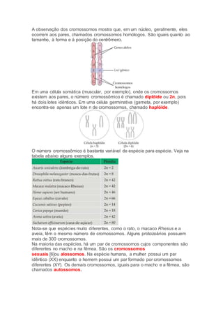 A observação dos cromossomos mostra que, em um núcleo, geralmente, eles
ocorrem aos pares, chamados cromossomos homólogos. São iguais quanto ao
tamanho, à forma e à posição do centrômero.
Em uma célula somática (muscular, por exemplo), onde os cromossomos
existem aos pares, o número cromossômico é chamado diplóide ou 2n, pois
há dois lotes idênticos. Em uma célula germinativa (gameta, por exemplo)
encontra-se apenas um lote n de cromossomos, chamado haplóide.
O número cromossômico é bastante variável de espécie para espécie. Veja na
tabela abaixo alguns exemplos.
Nota-se que espécies muito diferentes, como o rato, o macaco Rhesus e a
aveia, têm o mesmo número de cromossomos. Alguns protozoários possuem
mais de 300 cromossomos.
Na maioria das espécies, há um par de cromossomos cujos componentes são
diferentes no macho e na fêmea. São os cromossomos
sexuais [6]ou alossomos. Na espécie humana, a mulher possui um par
idêntico (XX) enquanto o homem possui um par formado por cromossomos
diferentes (XY). Os demais cromossomos, iguais para o macho e a fêmea, são
chamados autossomos.
 