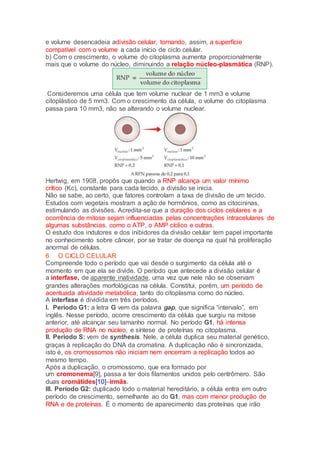 e volume desencadeia adivisão celular, tornando, assim, a superfície
compatível com o volume a cada início de ciclo celular.
b) Com o crescimento, o volume do citoplasma aumenta proporcionalmente
mais que o volume do núcleo, diminuindo a relação núcleo-plasmática (RNP).
Consideremos uma célula que tem volume nuclear de 1 mm3 e volume
citoplástico de 5 mm3. Com o crescimento da célula, o volume do citoplasma
passa para 10 mm3, não se alterando o volume nuclear.
Hertwig, em 1908, propôs que quando a RNP alcança um valor mínimo
crítico (Kc), constante para cada tecido, a divisão se inicia.
Não se sabe, ao certo, que fatores controlam a taxa de divisão de um tecido.
Estudos com vegetais mostram a ação de hormônios, como as citocininas,
estimulando as divisões. Acredita-se que a duração dos ciclos celulares e a
ocorrência de mitose sejam influenciadas pelas concentrações intracelulares de
algumas substâncias, como o ATP, o AMP cíclico e outras.
O estudo dos indutores e dos inibidores da divisão celular tem papel importante
no conhecimento sobre câncer, por se tratar de doença na qual há proliferação
anormal de células.
6 O CICLO CELULAR
Compreende todo o período que vai desde o surgimento da célula até o
momento em que ela se divide. O período que antecede a divisão celular é
a interfase, de aparente inatividade, uma vez que nele não se observam
grandes alterações morfológicas na célula. Constitui, porém, um período de
acentuada atividade metabólica, tanto do citoplasma como do núcleo.
A interfase é dividida em três períodos.
I. Período G1: a letra G vem da palavra gap, que significa “intervalo”, em
inglês. Nesse período, ocorre crescimento da célula que surgiu na mitose
anterior, até alcançar seu tamanho normal. No período G1, há intensa
produção de RNA no núcleo, e síntese de proteínas no citoplasma.
II. Período S: vem de synthesis. Nele, a célula duplica seu material genético,
graças à replicação do DNA da cromatina. A duplicação não é sincronizada,
isto é, os cromossomos não iniciam nem encerram a replicação todos ao
mesmo tempo.
Após a duplicação, o cromossomo, que era formado por
um cromonema[9], passa a ter dois filamentos unidos pelo centrômero. São
duas cromátides[10]–irmãs.
III. Período G2: duplicado todo o material hereditário, a célula entra em outro
período de crescimento, semelhante ao do G1, mas com menor produção de
RNA e de proteínas. É o momento de aparecimento das proteínas que irão
 