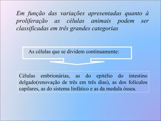 Em função das variações apresentadas quanto à proliferação as células animais podem ser classificadas em três grandes categorias  Células embrionárias, as do epitélio do intestino delgado(renovação de três em três dias), as dos folículos capilares, as do sistema linfático e as da medula óssea.  As células que se dividem continuamente: 