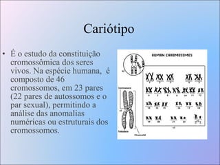 Cariótipo   É o estudo da constituição cromossômica dos seres vivos. Na espécie humana,  é composto de 46 cromossomos, em 23 pares (22 pares de autossomos e o par sexual), permitindo a análise das anomalias numéricas ou estruturais dos cromossomos.  