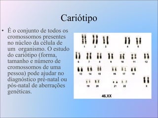 Cariótipo É o conjunto de todos os cromossomos presentes no núcleo da célula de um  organismo. O estudo do cariótipo (forma, tamanho e número de cromossomos de uma pessoa) pode ajudar no diagnóstico pré-natal ou pós-natal de aberrações genéticas.  