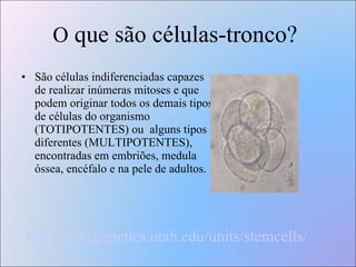 O  que são células-tronco?    São células indiferenciadas capazes de realizar inúmeras mitoses e que podem originar todos os demais tipos de células do organismo (TOTIPOTENTES) ou  alguns tipos diferentes (MULTIPOTENTES), encontradas em embriões, medula óssea, encéfalo e na pele de adultos. http://gslc.genetics.utah.edu/units/stemcells/ 