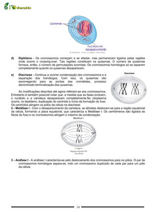 d)   Diplóteno - Os cromossomos começam a se afastar, mas permanecem ligados pelas regiões
     onde ocorre o crossing-over. Tais regiões constituem os quiasmas. O número de quiasmas
     fornece, então, o número de permutações ocorridas. Os cromossomos homólogos só se separam
     completamente quando os quiasmas desaparecem.

e)   Diacinese - Continua a ocorrer condensação dos cromossomos e a
     separação dos homólogos. Com isso, os quiasmas vão
     escorregando para as pontas das cromátides, processo
     denominado terminalização dos quiasmas.

      As modificações descritas até agora referiam-se aos cromossomos.
Entretanto é também possível notar que, a medida que as fases evoluem,
o nucléolo e a carioteca desaparecem completamente.No citoplasma
ocorre, no leptóteno, duplicação do centríolo e início da formação do fuso.
Os centríolos atingem os pólos da célula na diacinese.
2 - Metáfase I - Com o desaparecimento da carioteca, as tétrades deslocam-se para a região equatorial
da célula, formando a placa equatorial, que caracteriza a Metáfase I. Os centrômeros são ligados às
fibras do fuso e os cromossomos atingem o máximo de condensação.




3 - Anáfase I - A anáfase I caracteriza-se pelo deslocamento dos cromossomos para os pólos. O par de
      cromossomos homólogos separa-se, indo um cromossomo duplicado de cada par para um pólo
      da célula.




                                                 14
 