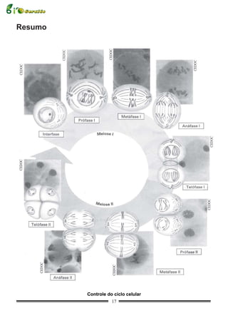 Resumo




         Controle do ciclo celular
                    17
 
