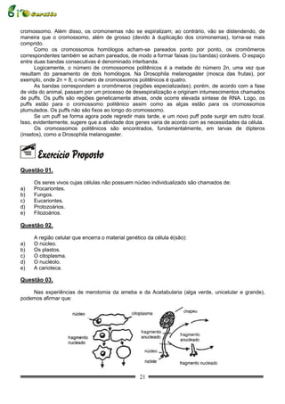 cromossomo. Além disso, os cromonemas não se espiralizam; ao contrário, vão se distendendo, de
maneira que o cromossomo, além de grosso (devido à duplicação dos cromonemas), torna-se mais
comprido.
      Como os cromossomos homólogos acham-se pareados ponto por ponto, os cromômeros
correspondentes também se acham pareados, de modo a formar faixas (ou bandas) coráveis. O espaço
entre duas bandas consecutivas é denominado interbanda.
      Logicamente, o número de cromossomos politênicos é a metade do número 2n, uma vez que
resultam do pareamento de dois homólogos. Na Drosophila melanogaster (mosca das frutas), por
exemplo, onde 2n = 8, o número de cromossomos politênicos é quatro.
      As bandas correspondem a cromômeros (regiões especializadas); porém, de acordo com a fase
de vida do animal, passam por um processo de desespiralização e originam intumescimentos chamados
de puffs. Os puffs são regiões geneticamente ativas, onde ocorre elevada síntese de RNA. Logo, os
puffs estão para o cromossomo politênico assim como as alças estão para os cromossomos
plumulados. Os puffs não são fixos ao longo do cromossomo.
      Se um puff se forma agora pode regredir mais tarde, e um novo puff pode surgir em outro local.
Isso, evidentemente, sugere que a atividade dos genes varia de acordo com as necessidades da célula.
      Os cromossomos politênicos são encontrados, fundamentalmente, em larvas de dípteros
(insetos), como a Drosophila melanogaster.




Questão 01.

     Os seres vivos cujas células não possuem núcleo individualizado são chamados de:
a)   Procariontes.
b)   Fungos.
c)   Eucariontes.
d)   Protozoários.
e)   Fitozoários.

Questão 02.

     A região celular que encerra o material genético da célula é(são):
a)   O núcleo.
b)   Os plastos.
c)   O citoplasma.
d)   O nucléolo.
e)   A carioteca.

Questão 03.

    Nas experiências de merotomia da ameba e da Acetabularia (alga verde, unicelular e grande),
podemos afirmar que:




                                                  21
 