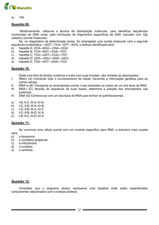 e)      159.

Questão 09.

       Modernamente, utiliza-se a técnica de hibridização molecular, para identificar sequências
conhecidas de DNA virais, pela introdução de fragmentos específicos de DNA marcado com 32p
radiativo (sonda molecular).
      Se, no diagnóstico de determinada virose, for empregada uma sonda molecular com a seguinte
sequência nucleotídica —AGT—TCA—GTT—ACA, a doença identificada será:
a)    hepatite A: UCA—AGU—CAA—UGU.
b)    hepatite B: TCA—AGT—CAA—TGT.
c)    hepatite C: TCU—UGT—CUU—TGT.
d)    hepatite D: UGA—AGU—GAA—UGU.
e)    hepatite E: TGA—ACT—GAA—TCA.

Questão 10.

        Dada uma lista de ácidos nucleicos e outra com suas funções, são corretas as associações:
I.      RNA-t (A) Comanda todo o funcionamento da célula; transmite a informação genética para as
        outras células.
II.     RNA-m (B) Transporta os aminoácidos unindo o seu anticódon ao códon de um dos tipos de RNA.
III.    RNA-r (C) Através da sequência de suas bases, determina a posição dos aminoácidos nas
        proteínas.
IV.     DNA (D) Combina-se com um dos tipos de RNA para formar os polirribossomas.

a)      I-B; II-C; III-A; IV-D.
b)      I-C; II-D; III-A; IV-B.
c)      I-D; II-B; III-A; IV-C.
d)      I-C; II-B; III-D; IV-A.
e)      I-B; II-C; III-D; IV-A.

Questão 11.

        Se corarmos uma célula animal com um corante específico para RNA, a estrutura mais corada
será:
a)      o lisossomo.
b)      o complexo golgiense.
c)      a mitocôndria.
d)      o nucléolo.
e)      o centríolo.




Questão 12.

    Considere que o esquema abaixo representa uma bactéria onde estão especificados
componentes relacionados com a síntese proteica.




                                                 27
 