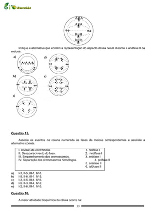 Indique a alternativa que contém a representação do aspecto dessa célula durante a anáfase II da
meiose.




Questão 15.

      Associe os eventos da coluna numerada às fases da meiose correspondentes e assinale a
alternativa correta.

     I. Divisão de centrômero.                           1. prófase I
     II. Desaparecimento do fuso.                        2. metáfase I
     III. Emparelhamento dos cromossomos.                3. anáfase I
     IV. Separação dos cromossomos homólogos.                    4. prófase II
                                                         5. anáfase II
                                                         6. telófase II

a)   I-3, II-5, III-1, IV-3.
b)   I-5, II-6, III-1. IV-3.
c)   I-3, II-5. III-4. IV-6.
d)   I-5. II-3. III-4, IV-2.
e)   I-2, II-6, III-1. IV-5.

Questão 16.

     A maior atividade bioquímica da célula ocorre na:

                                                 39
 