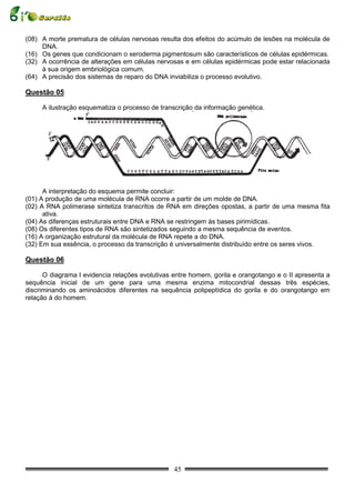 (08) A morte prematura de células nervosas resulta dos efeitos do acúmulo de lesões na molécula de
     DNA.
(16) Os genes que condicionam o xeroderma pigmentosum são característicos de células epidérmicas.
(32) A ocorrência de alterações em células nervosas e em células epidérmicas pode estar relacionada
     à sua origem embriológica comum.
(64) A precisão dos sistemas de reparo do DNA inviabiliza o processo evolutivo.

Questão 05

     A ilustração esquematiza o processo de transcrição da informação genética.




      A interpretação do esquema permite concluir:
(01) A produção de uma molécula de RNA ocorre a partir de um molde de DNA.
(02) A RNA polimerase sintetiza transcritos de RNA em direções opostas, a partir de uma mesma fita
      ativa.
(04) As diferenças estruturais entre DNA e RNA se restringem às bases pirimídicas.
(08) Os diferentes tipos de RNA são sintetizados seguindo a mesma sequência de eventos.
(16) A organização estrutural da molécula de RNA repete a do DNA.
(32) Em sua essência, o processo da transcrição é universalmente distribuído entre os seres vivos.

Questão 06

      O diagrama I evidencia relações evolutivas entre homem, gorila e orangotango e o II apresenta a
sequência inicial de um gene para uma mesma enzima mitocondrial dessas três espécies,
discriminando os aminoácidos diferentes na sequência polipeptídica do gorila e do orangotango em
relação à do homem.




                                                 45
 
