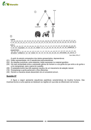 A partir do estudo comparativo dos dados apresentados, depreende-se:
(01) Estão representadas, em II sequências polinucleotídicas.
(02) As relações evolutivas, entre espécies, estão expressas no material genético.
(04) Há mais similaridade entre a expressão gênica do homem e a do gorila do que entre a do gorila e
     a do orangotango, para o gene em questão.
(08) O estabelecimento das três espécies resultou de um mecanismo de seleção natural.
(16) Orangotango e gorila pertencem a filos diferentes.
(32) Homem e macacos atuais descendem de um ancestral comum.

Questão 07

       A figura a seguir apresenta sequências peptídicas características da insulina humana. Das
insulinas bovina e suína apenas se destacam as regiões em que elas se diferenciam da humana.




                                                46
 