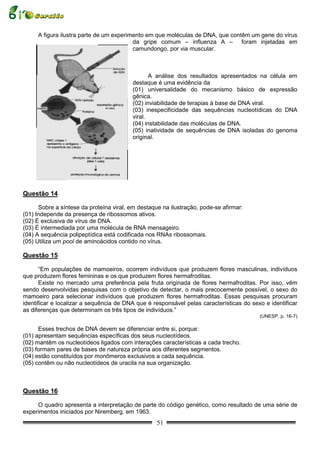A figura ilustra parte de um experimento em que moléculas de DNA, que contêm um gene do vírus
                                         da gripe comum – influenza A – foram injetadas em
                                         camundongo, por via muscular.



                                                A análise dos resultados apresentados na célula em
                                         destaque é uma evidência da
                                         (01) universalidade do mecanismo básico de expressão
                                         gênica.
                                         (02) inviabilidade de terapias à base de DNA viral.
                                         (03) inespecificidade das sequências nucleotídicas do DNA
                                         viral.
                                         (04) instabilidade das moléculas de DNA.
                                         (05) inatividade de sequências de DNA isoladas do genoma
                                         original.




Questão 14

      Sobre a síntese da proteína viral, em destaque na ilustração, pode-se afirmar:
(01) Independe da presença de ribossomos ativos.
(02) É exclusiva de vírus de DNA.
(03) É intermediada por uma molécula de RNA mensageiro.
(04) A sequência polipeptídica está codificada nos RNAs ribossomais.
(05) Utiliza um pool de aminoácidos contido no vírus.

Questão 15

       “Em populações de mamoeiros, ocorrem indivíduos que produzem flores masculinas, indivíduos
que produzem flores femininas e os que produzem flores hermafroditas.
       Existe no mercado uma preferência pela fruta originada de flores hermafroditas. Por isso, vêm
sendo desenvolvidas pesquisas com o objetivo de detectar, o mais precocemente possível, o sexo do
mamoeiro para selecionar indivíduos que produzem flores hermafroditas. Essas pesquisas procuram
identificar e localizar a sequência de DNA que é responsável pelas características do sexo e identificar
as diferenças que determinam os três tipos de indivíduos.”
                                                                                         (UNESP, p. 16-7)

      Esses trechos de DNA devem se diferenciar entre si, porque:
(01) apresentam sequências específicas dos seus nucleotídeos.
(02) mantêm os nucleotídeos ligados com interações características a cada trecho.
(03) formam pares de bases de natureza própria aos diferentes segmentos.
(04) estão constituídos por monômeros exclusivos a cada sequência.
(05) contêm ou não nucleotídeos de uracila na sua organização.



Questão 16

     O quadro apresenta a interpretação de parte do código genético, como resultado de uma série de
experimentos iniciados por Niremberg, em 1963.
                                                   51
 