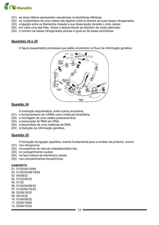 (01)   as duas hélices apresentam sequências nucleotídicas idênticas.
(02)   os nucleotídeos de uma cadeia são ligados entre si através de suas bases nitrogenadas.
(03)   a ligação entre os filamentos impede a sua dissociação durante o ciclo celular.
(04)   em cada uma das fitas, ribose e desoxirribose se dispõem de modo alternado.
(05)   o número de bases nitrogenadas púricas é igual ao de bases pirimídicas.


Questões 34 e 35

       A figura esquematiza processos que estão envolvidos no fluxo da informação genética.




Questão 34

       A ilustração esquematiza, entre outros processos,
(01)   o funcionamento de mRNA como molécula hereditária.
(02)   a montagem de uma cadeia polissacarídica.
(03)   a transcrição do RNA em DNA.
(04)   a biossíntese de uma molécula de DNA.
(05)   a tradução da informação genética.

Questão 35

       A formação da ligação peptídica, evento fundamental para a síntese da proteína, ocorre
(01)   nos ribossomos
(02)   na superfície do retículo endoplasmático liso.
(03)   no compartimento nuclear.
(04)   na face interna da membrana celular.
(05)   nos compartimentos lisossômicos.

GABARITO
01. 01/02/04/16/64
02. 01/02/04/08/16/64
03. 04/08/32
04. 01/02/08/32
05. 01/32
06. 01/02/04/08/32
07. 01/02/04/16/32
08. 02/08/16/32
09. 04/16/32
10. 01/04/08/32
11. 02/04/16/64
12. 02/04/16/32
                                                   58
 