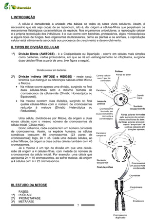 I. INTRODUÇÃO

      A célula é considerada a unidade vital básica de todos os seres vivos celulares. Assim, é
necessário que ela seja capaz de se reproduzir, isto é, dar origem a células-filhas que perpetuem os
mecanismos fisiológicos característicos da espécie. Nos organismos unicelulares, a reprodução celular
é a própria reprodução dos indivíduos: é o que ocorre com bactérias, protozoários, algas microscópicas
e alguns tipos de fungos. Nos organismos multicelulares, como as plantas e os animais, a reprodução
celular está intimamente associada aos processos de crescimento e desenvolvimento.

II. TIPOS DE DIVISÃO CELULAR

1ª)     Divisão Direta (AMITOSE) - é a Cissiparidade ou Bipartição - ocorre em células mais simples
        como bactérias, certos protozoários, em que se dá um estrangulamento no citoplasma, surgindo
        duas células-filhas a partir de uma. (ver figura a seguir).


                     Divisão celular em bactérias

2ª)    Divisão Indireta (MITOSE e MEIOSE) - neste caso,
       teremos que distinguir as diferenças básicas entre Mitose
       e Meiose.
      • Na mitose ocorre apenas uma divisão, surgindo no final
         duas células-filhas com o mesmo número de
         cromossomos da célula-mãe (Divisão Homeotípica ou
         Equacional).
      • Na meiose ocorrem duas divisões, surgindo no final
         quatro células-filhas com o número de cromossomos
         reduzido à metade (Divisão Heterotípica ou
         Reducional).

      Uma célula, dividindo-se por Mitose, dá origem a duas
novas células com o mesmo número de cromossomos da
célula-inicial (Célula-mãe).
      Como sabemos, cada espécie tem um número constante
de cromossomos. Assim, na espécie humana, as células
somáticas possuem 46 cromossomos (23 pares de
cromossomos); logo, 2n = 46. Cada uma dessas células, ao
sofrer Mitose, dá origem a duas outras células também com 46
cromossomos.
      Já a meiose é um tipo de divisão em que uma célula-
mãe dá origem a 4 células-filhas, com metade do número de
cromossomos da célula inicial. Por exemplo, uma célula que
apresenta 2n = 46 cromossomos, ao sofrer meiose, dá origem
a 4 células com n = 23 cromossomos.




III. ESTUDO DA MITOSE

        FASES:
1ª)     PRÓFASE
2ª)     PROMETAFASE
3ª)     METÁFASE
                                                    7
 