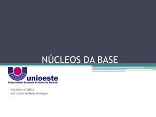 NÚCLEOS DA BASE

NEUROANATOMIA
Prof. Carlos Frederico Rodrigues.
 