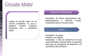 N
Ú
C
L
E
O
S
D
A
B
A
S
E
Ligado ao circuito motor há um
circuito subsidiário, no qual o
putâmen mantem conexões
recíprocas com a substância
negra.
CIRCUITO SUBSIDIÁRIO
AÇÕES
Importante: As fibras nigroestriatais são
dopaminérgicas e exercem função
modulatória sobre o circuito motor.
Excitatória: via direta
Inibitória: via indireta
Explicação: o fato da dopamina ter duas
ações diferetes é devido existir no putamen
dois tipos de receptores de dopamina: D1
(excitatório) D2 (inibitório).
 