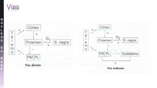 N
Ú
C
L
E
O
S
D
A
B
A
S
E
 