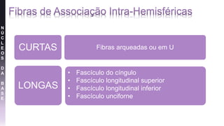 CURTAS Fibras arqueadas ou em U
LONGAS
• Fascículo do cíngulo
• Fascículo longitudinal superior
• Fascículo longitudinal inferior
• Fascículo unciforne
N
Ú
C
L
E
O
S
D
A
B
A
S
E
 