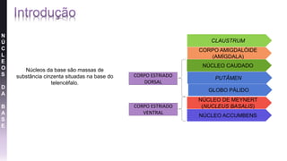 N
Ú
C
L
E
O
S
D
A
B
A
S
E
CLAUSTRUM
CORPO AMIGDALÓIDE
(AMÍGDALA)
NÚCLEO CAUDADO
PUTÂMEN
GLOBO PÁLIDO
NÚCLEO ACCUMBENS
CORPO ESTRIADO
DORSAL
CORPO ESTRIADO
VENTRAL
NÚCLEO DE MEYNERT
(NUCLEUS BASALIS)
Núcleos da base são massas de
substância cinzenta situadas na base do
telencéfalo.
 